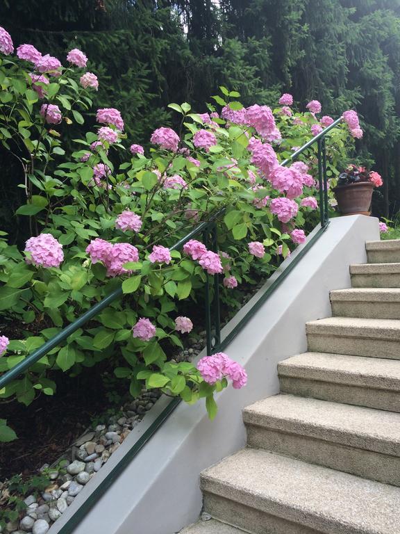 Exquisites Gartenapartment In Eleganter Jugendstilvilla Vienna Exterior photo